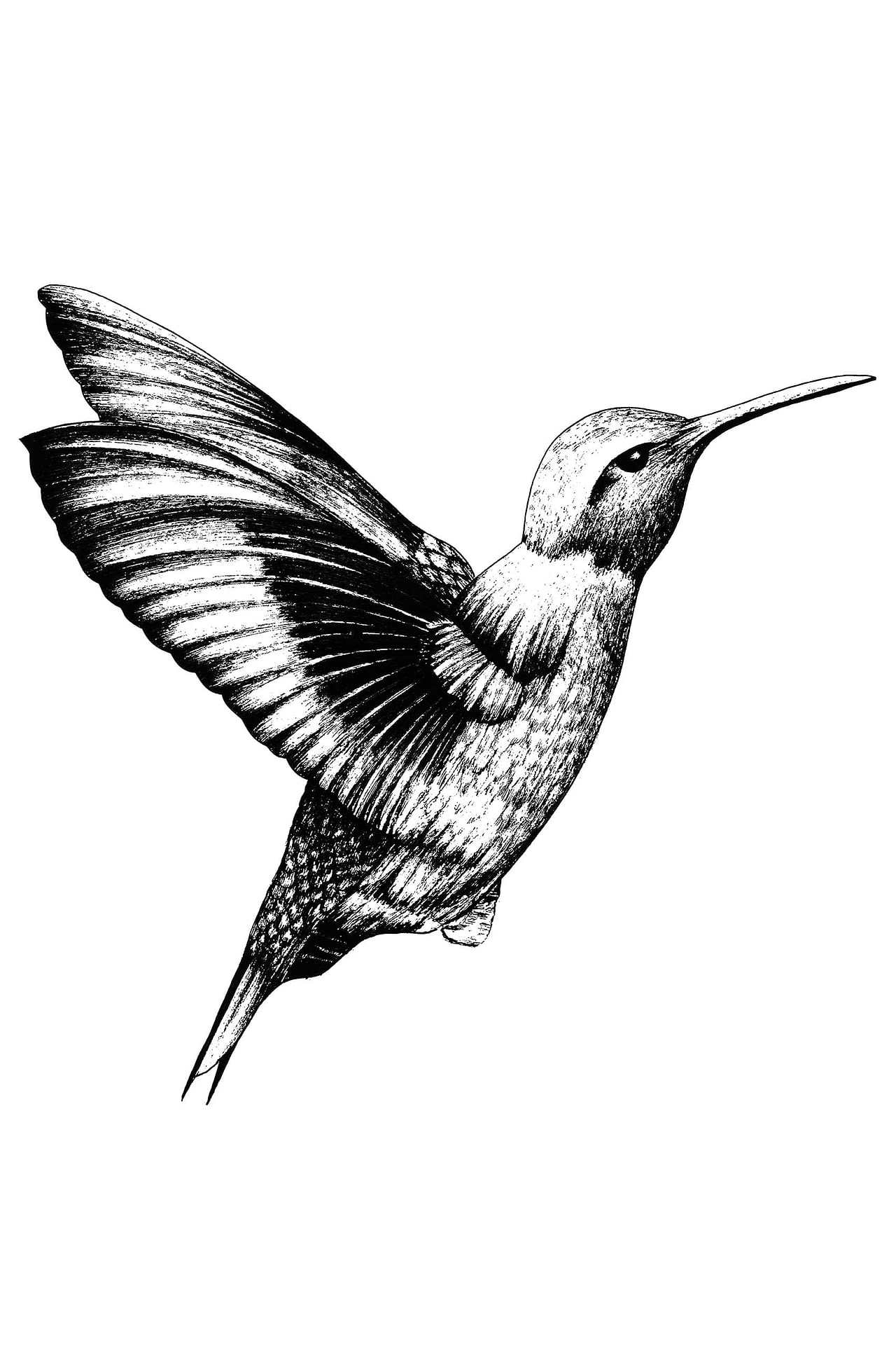 Colibri программа для прошивки